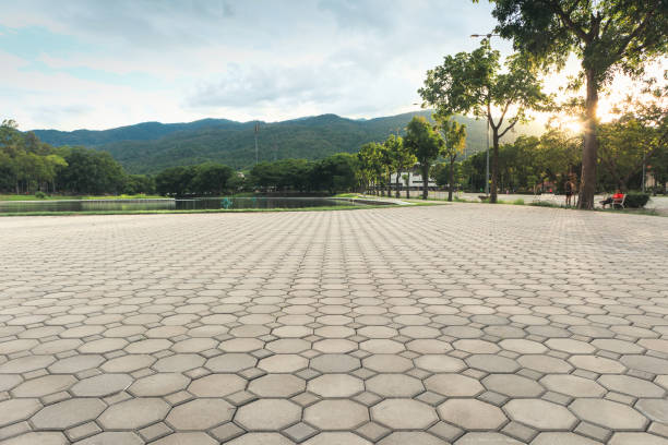 Best Custom Driveway Pavers  in Lyndhurst, VA